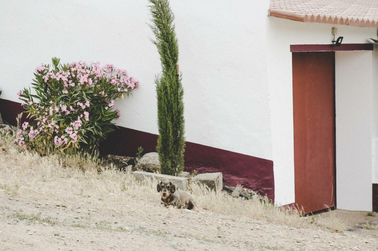 Casas Da Faia - Nature Guest House Arronches Kültér fotó